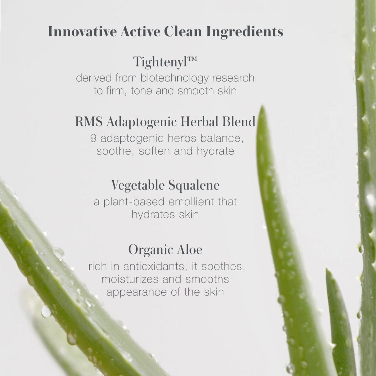 08. Key Ingredients.jpg
