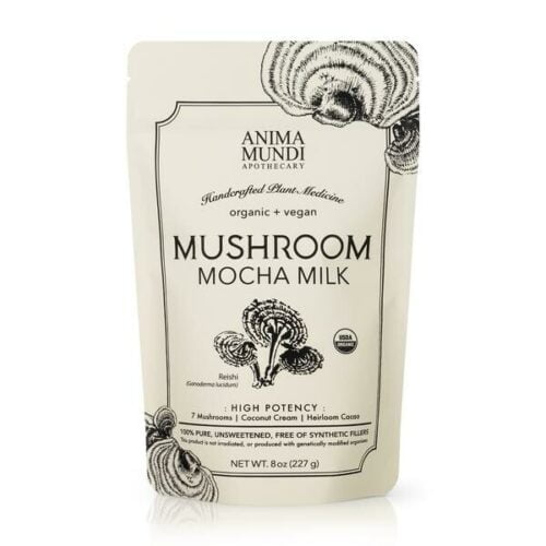 Anima Mundi mushroom mocha milk