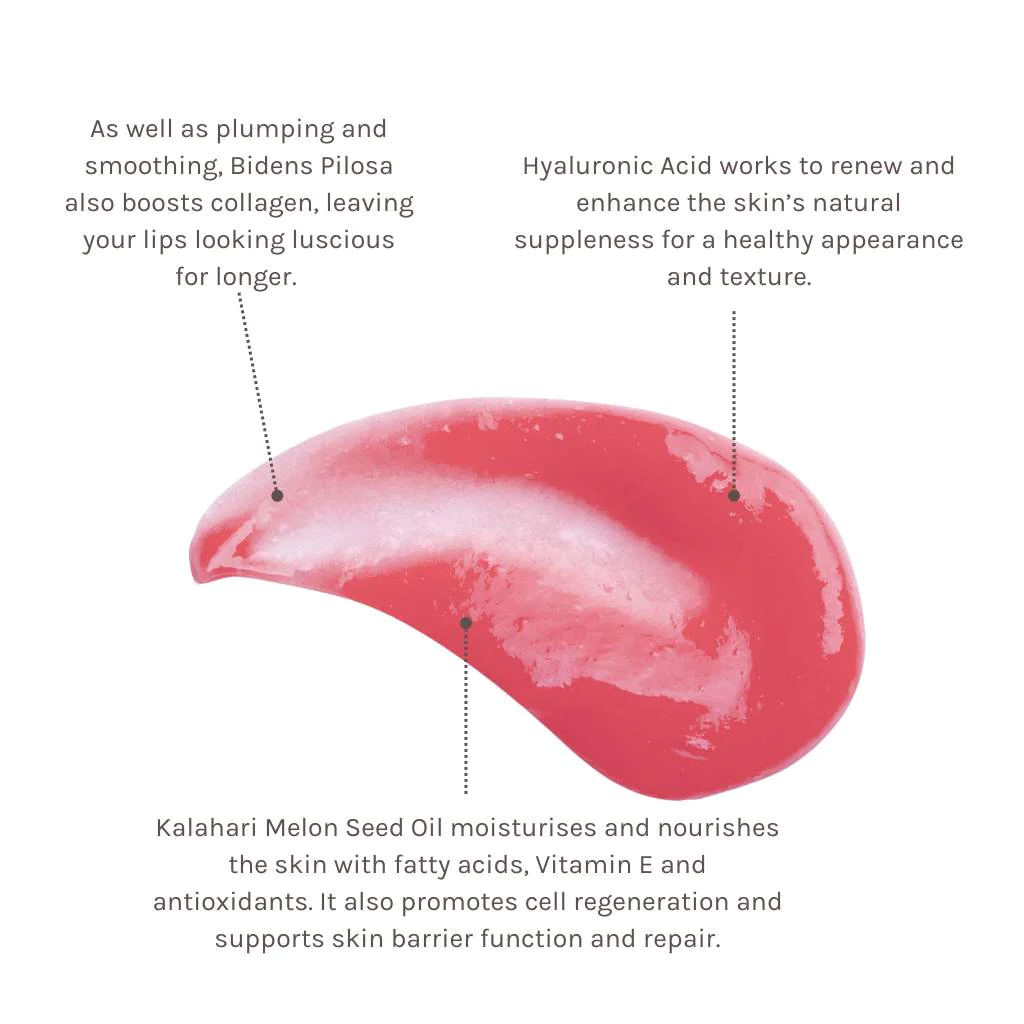 evolve-organic-beauty-lip-balm-bio-retinol-glossy-lip-oil-34845021241388.jpg Evolve lip oil ingredients