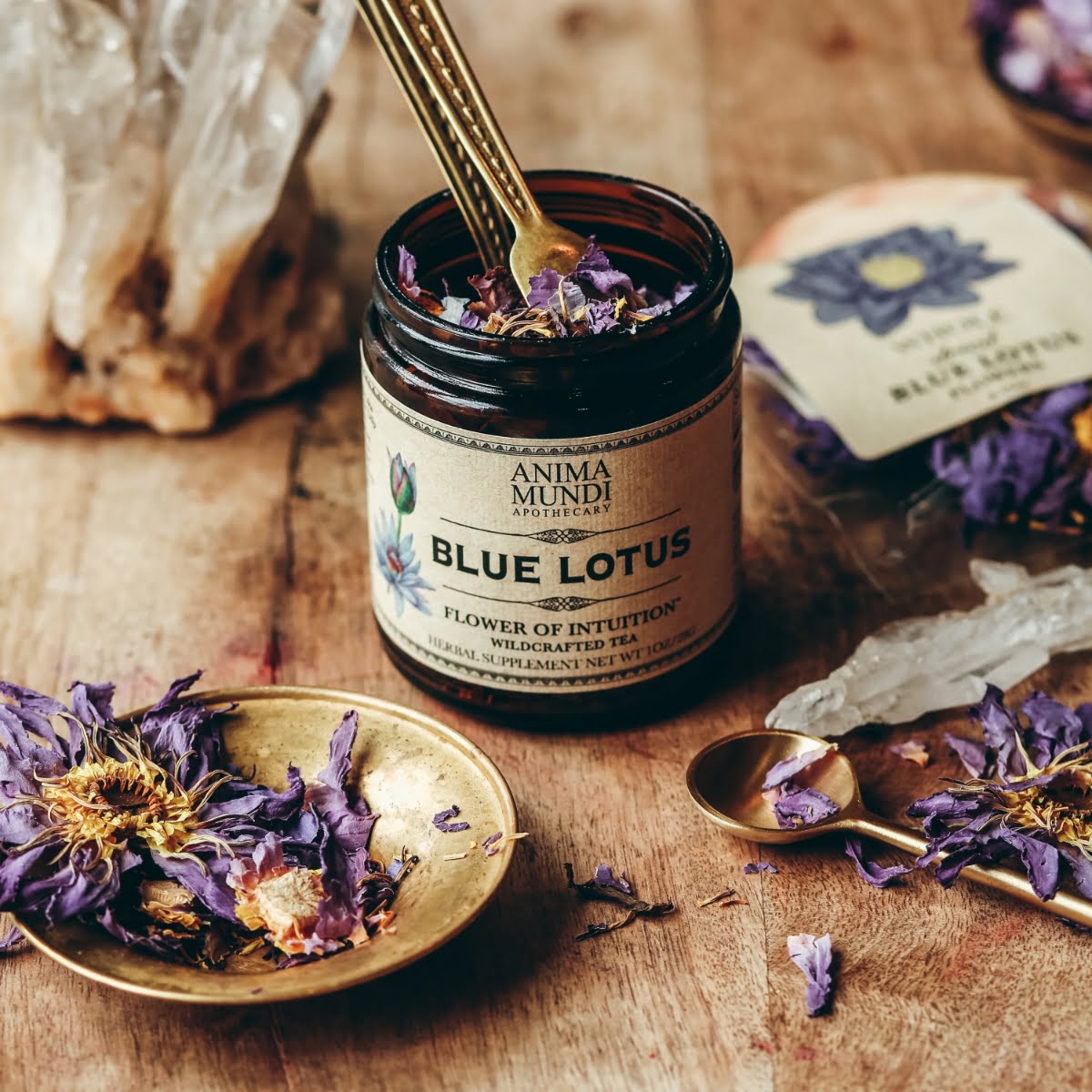 Anima Mundi Blue Lotus