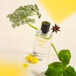 bastille rayon vert ingredients